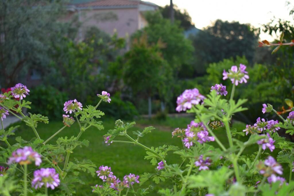 Villa Sunset Lefkas Agios Ioannis  Exterior foto